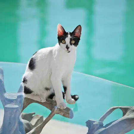 Acqua Blu Boutique 3*